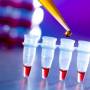 fotolia_68538548_xs_reprogenetics.jpg